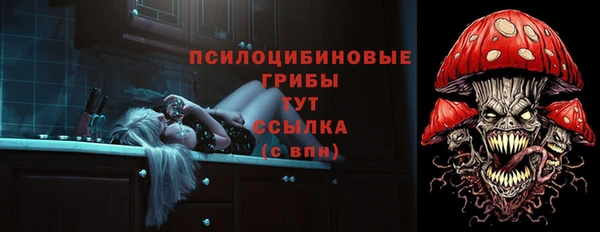 прущие грибы Абдулино
