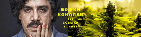 трава Абаза