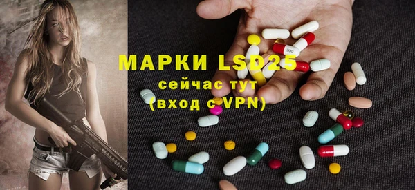 прущие грибы Абдулино