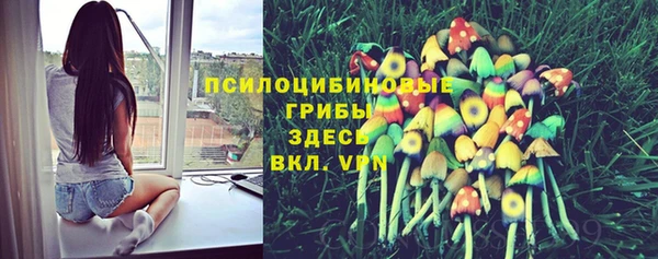 прущие грибы Абдулино