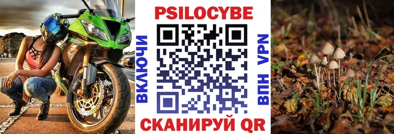 Галлюциногенные грибы MAGIC MUSHROOMS  Североморск 